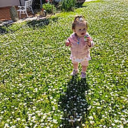 Maÿana a rejoint le concours — aidez-le/la à gagner de superbes lots ! bench, child, cup, daisies, daylight, flower_field, garden, grass, greenery, happy, house, nature, outdoor, pink_jacket, portrait, shadow, small_child, sunlight, toddler, tree