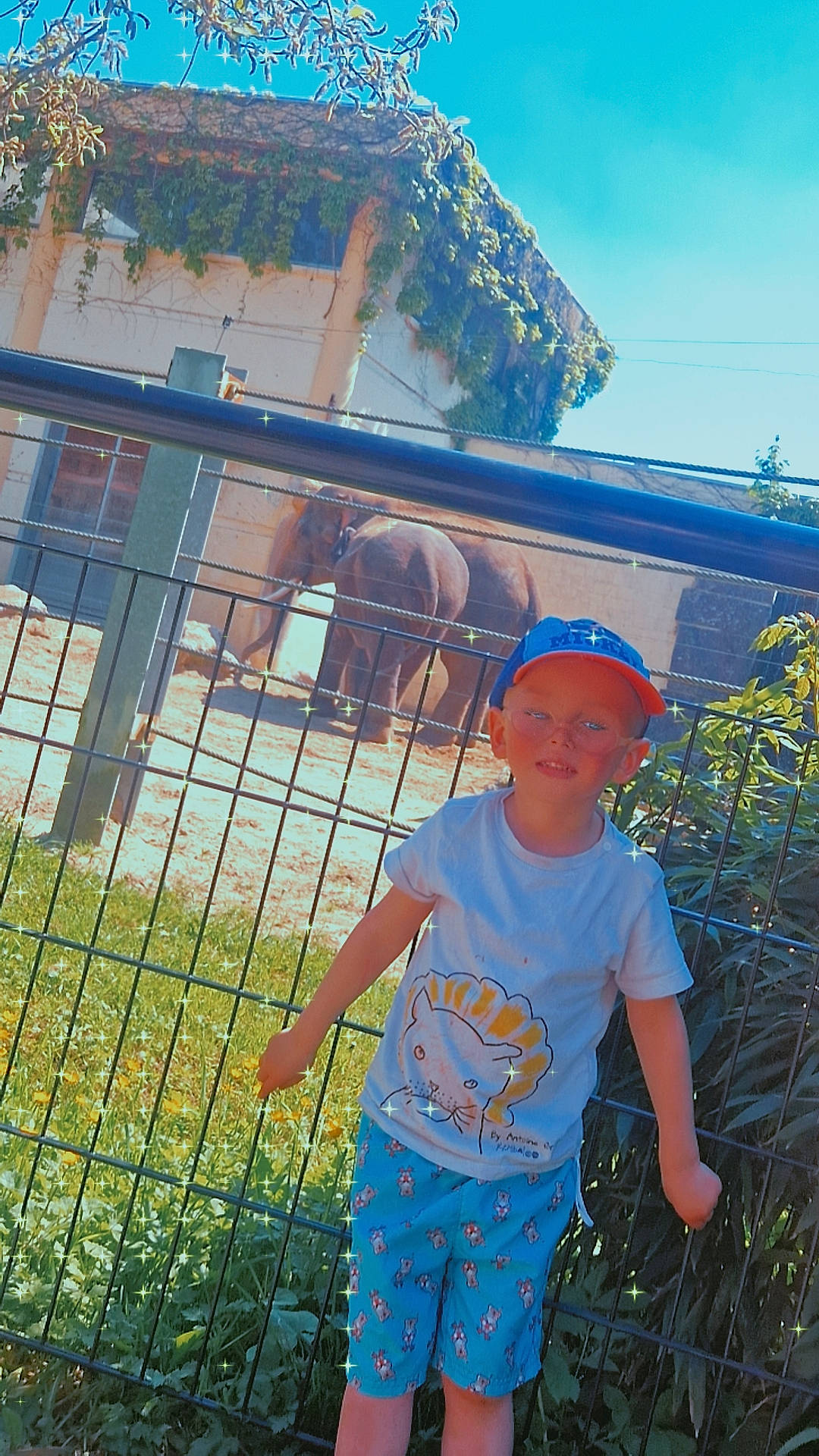 Lymelian participe au concours pour gagner de l'argent avec cette photo : baseball_cap, blue, electric_blue, fence, fun, grass, happy, hat, headwear, home_fencing, leaf, leisure, people, person, plant, shorts, sky, summer, sunglasses, t_shirt
