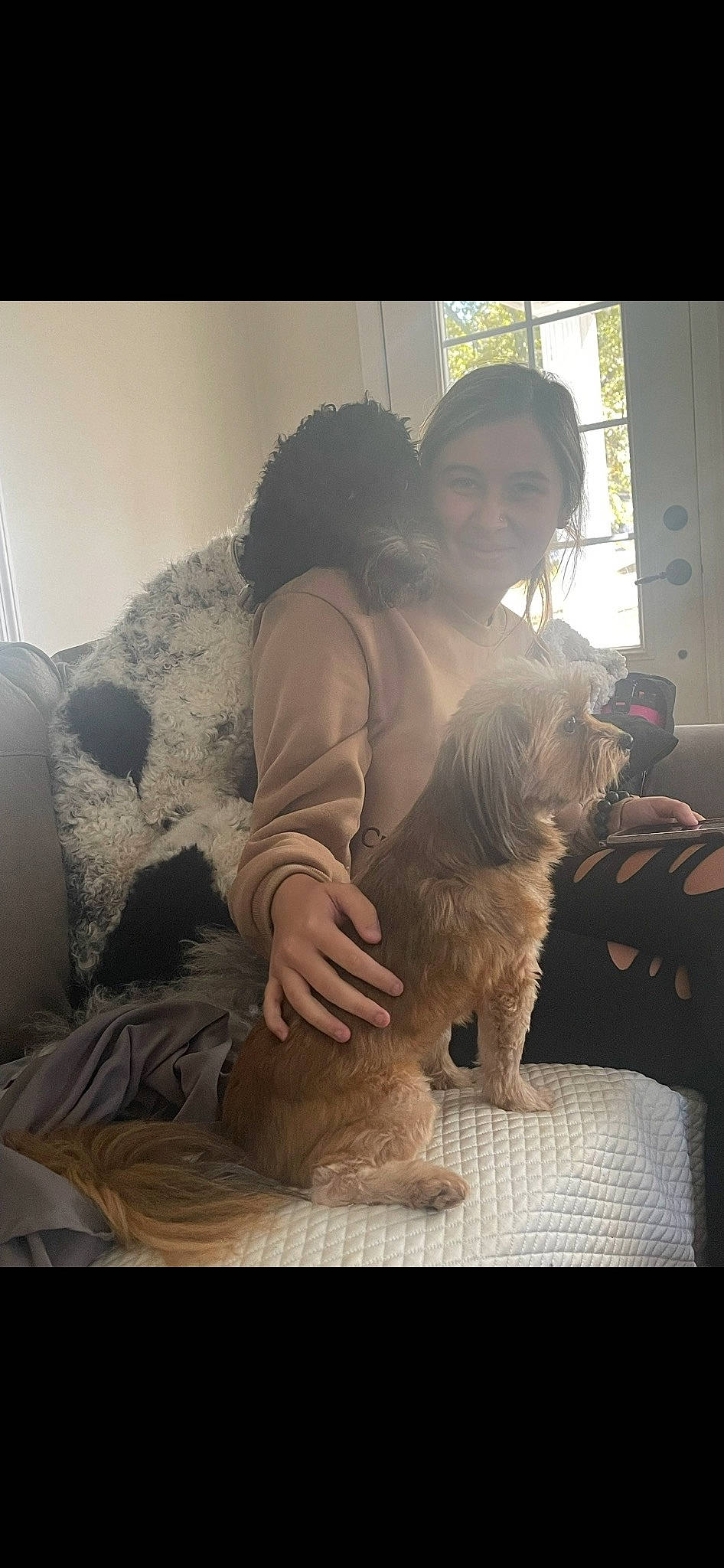 Tilly joined the competition — help win amazing prizes! canidae, carnivore, child, comfort, companion_dog, dog, dog_breed, fawn, felidae, fur, happy, love, non_sporting_group, puppy_love, selfie, sitting, small_terrier, sporting_group, terrier, toy_dog