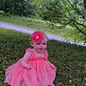 baby, child, pink_dress, headband, flower_accessory, grass, outdoor, nature, greenery, tree, infant, curious, joyful, cute, toddler, portrait, summer, young_child, dress, exploring