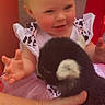 animal, baby, child, cow_print, cute, hand, happy, headband, holding, interaction, outdoor, person, pet, pink_tutu, playing, puppy, red_chair, smiling, toddler, young_child