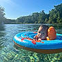 baby, child, water, inflatable_ring, float, outdoor, nature, trees, sky, sunlight, summer, swimming, lake, river, toddler, clear_water, blue_sky, greenery, sunshine, recreation