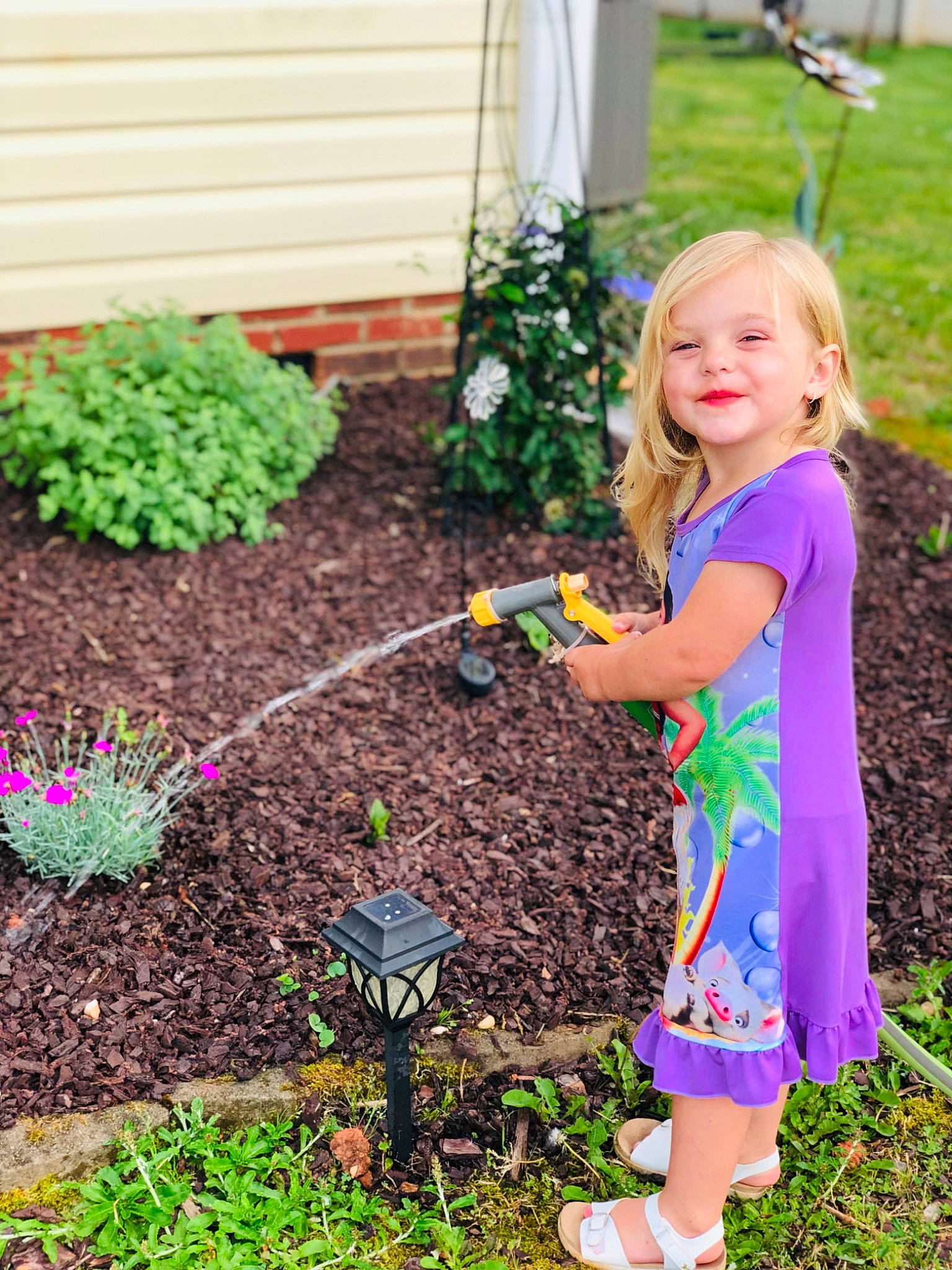 Everly joined the competition — help win amazing prizes! annual_plant, baby_toddler_clothing, compost, day_dress, garden, gardening, grass, green, groundcover, happy, joy, lawn, leaf, one_piece_garment, people_in_nature, person, plant, sandal, shrub, smile