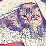 animal, bed, blanket, cat, comfort, cozy, curious, cute, eyes, floral, fur, hiding, indoor, paws, pet, relaxed, resting, soft, tabby, whiskers