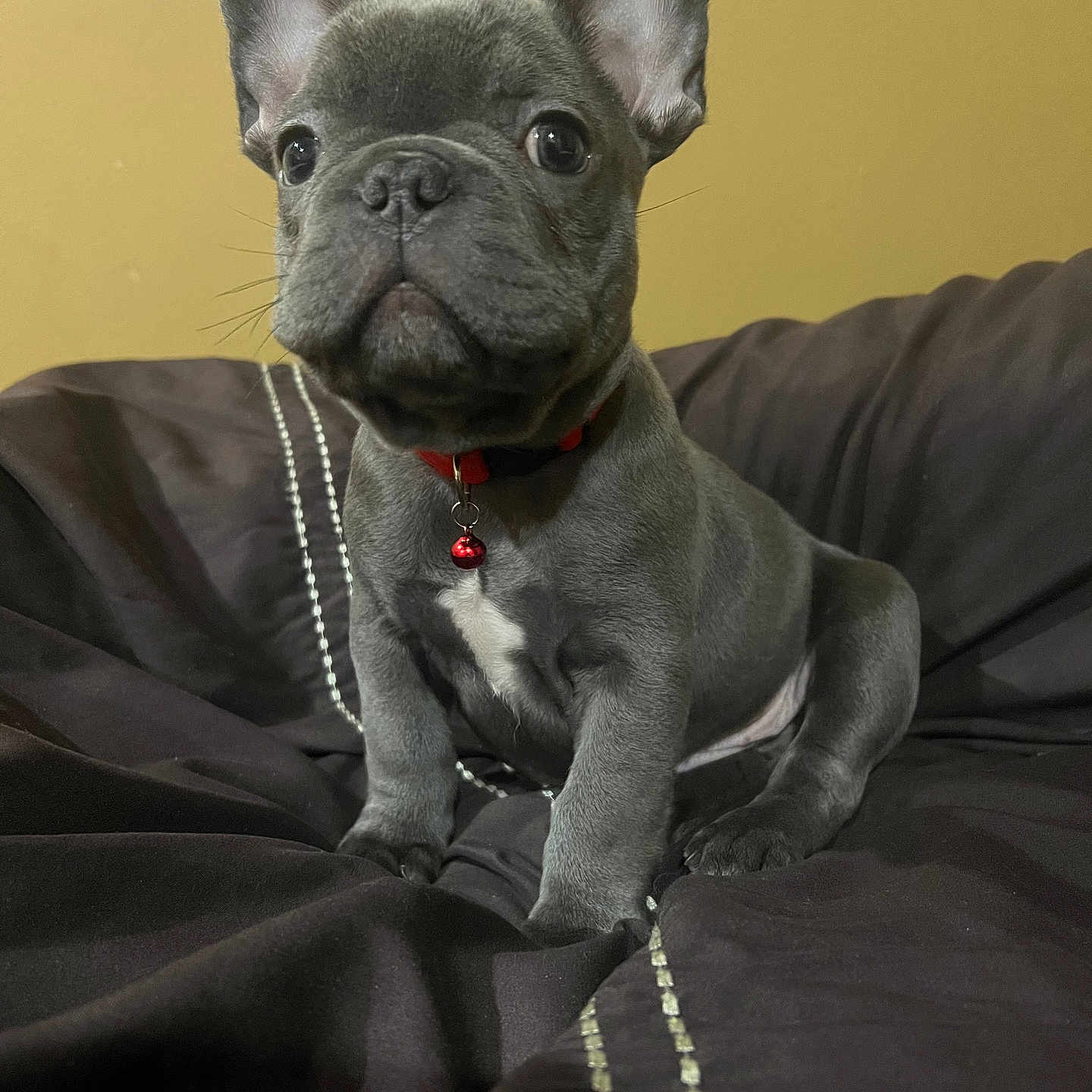 King
