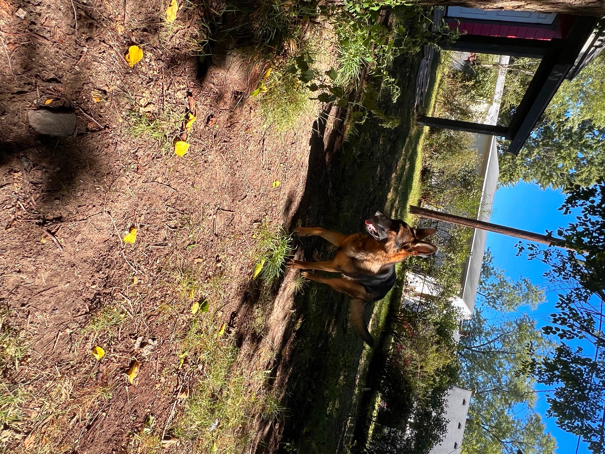 Nyla is registered to the contest to win money with this photo: adventure, forest, grass, jungle, landscape, leisure, plant, recreation, reflection, shadow, sky, soil, sunlight, tints_and_shades, tree, trunk, twig, vegetation, water, wood