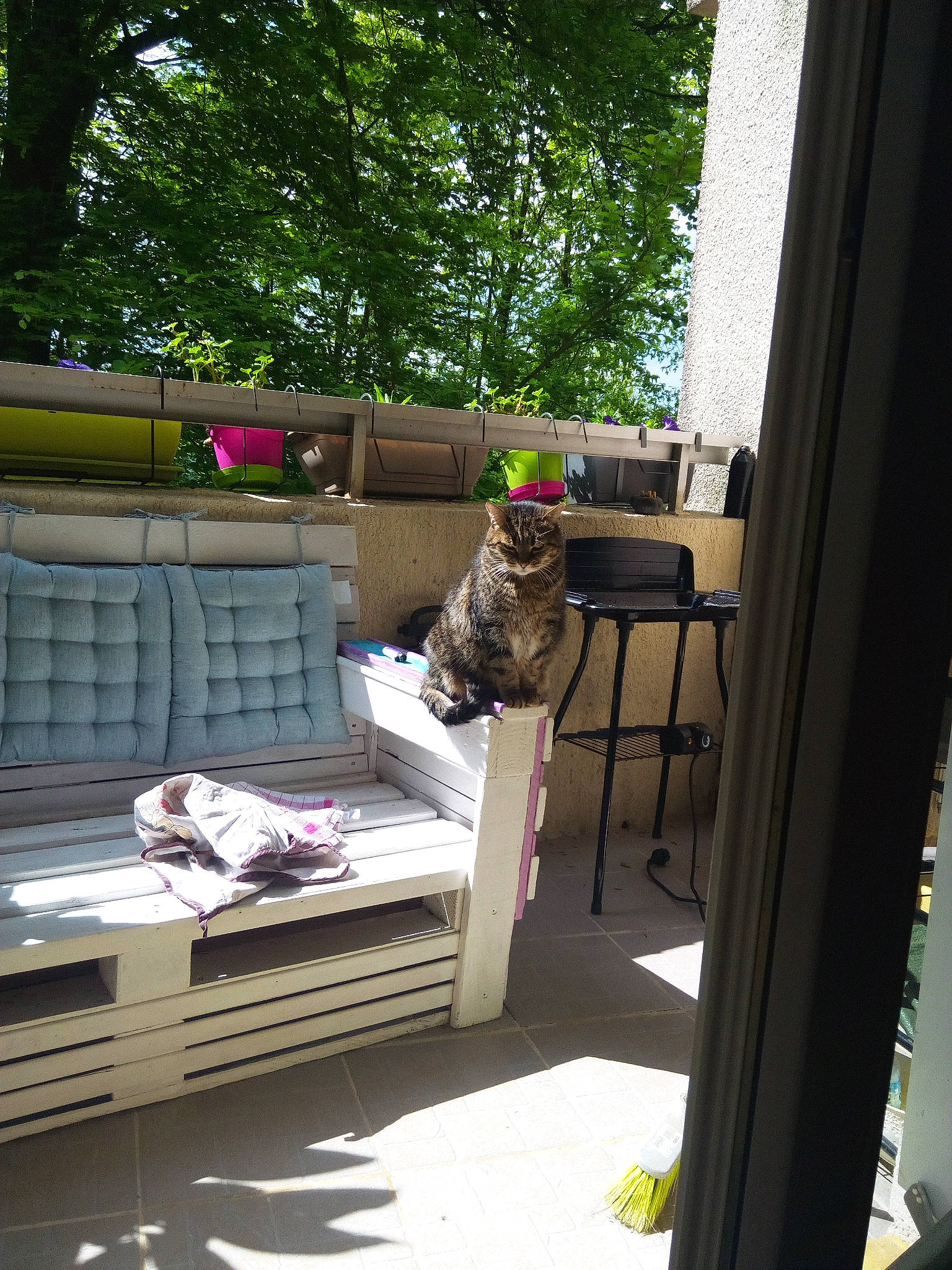 Fauve a rejoint le concours — aidez-le/la à gagner de superbes lots ! deck, furniture, home, house, patio, plant, porch, room, tree, vacation, window