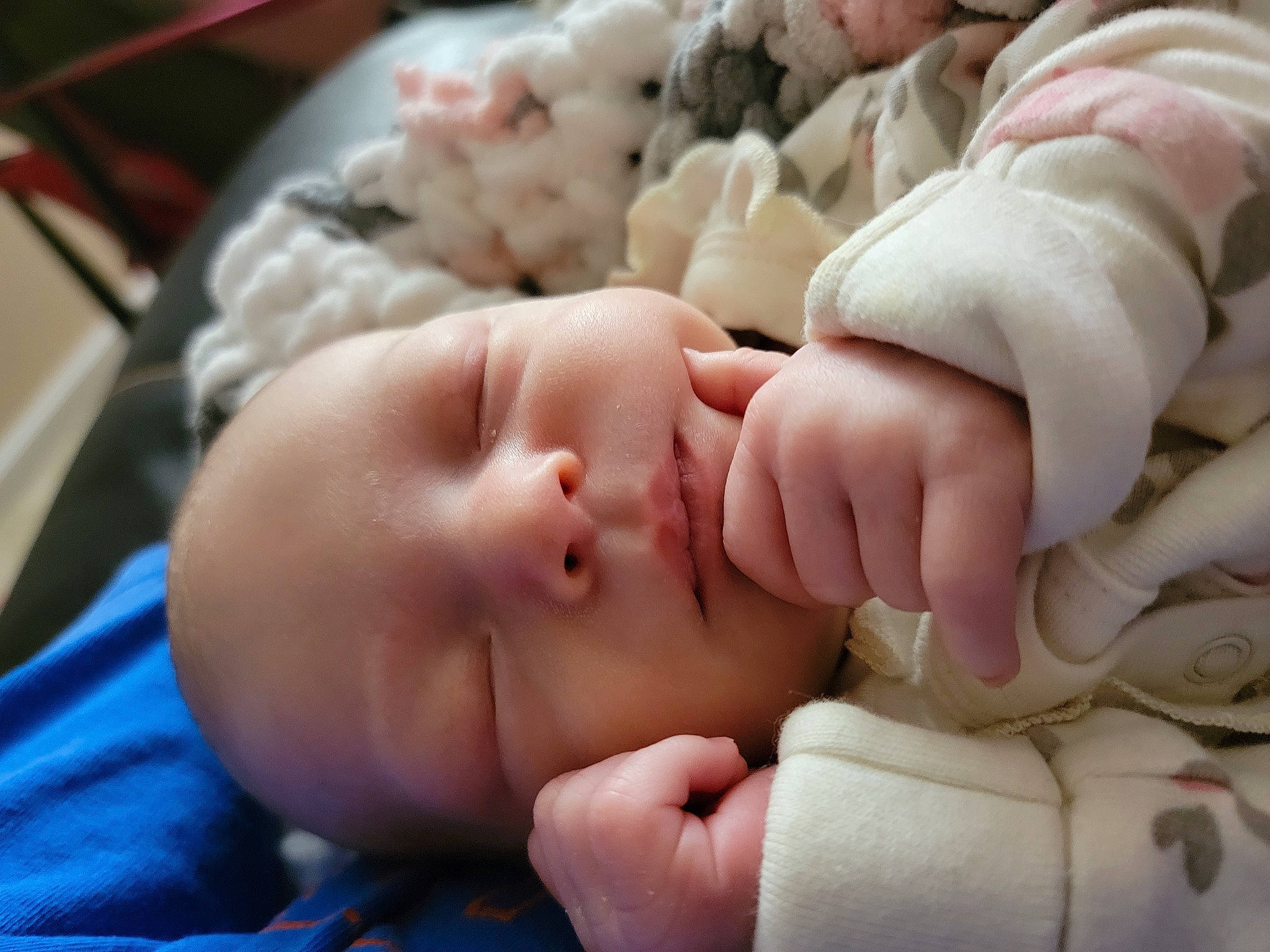 Dakota is registered to the contest to win money with this photo: arm, baby, baby_sleeping, baby_toddler_clothing, bedtime, cheek, child, comfort, eyelash, face, finger, gesture, hand, mouth, nail, nose, peach, skin, thumb, toddler