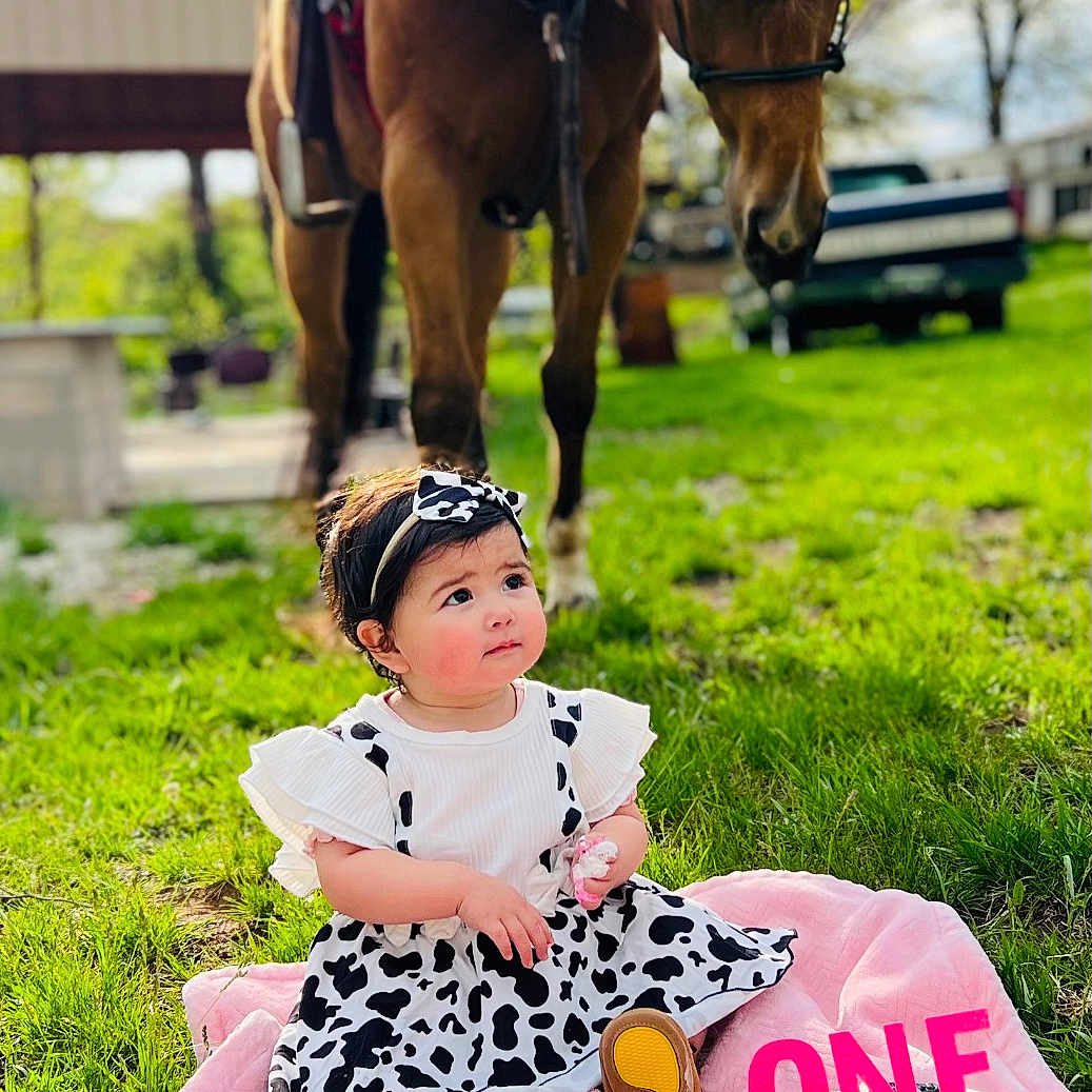Paolett is registered to the contest to win money with this photo: child, clothing, cream, dessert, dress, face, female, food, girl, grass, head, icing, nature, outdoors, park, people, person, photography, plant, portrait