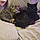 Kitty And Lucky