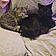 Kitty And Lucky