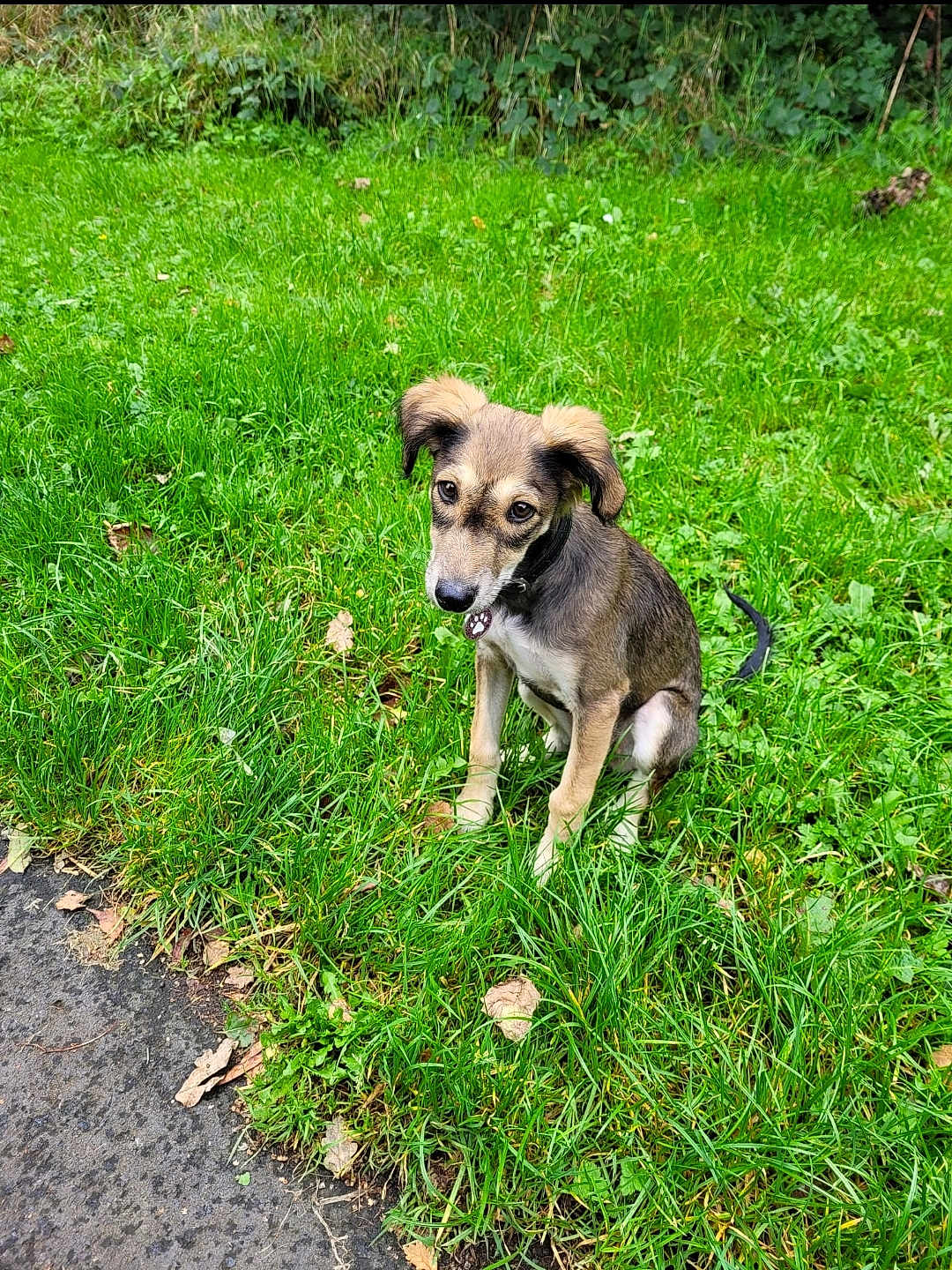 Lilah