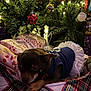 dog, christmas_tree, holiday_lights, ornaments, blanket, pet_clothing, tutu, resting, indoor, festive, decorations, cozy, sleeping, small_dog, pine_tree, christmas_decor, holiday_season, plaid, red, green