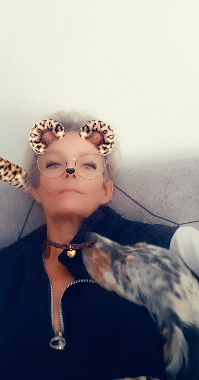 Renzo a rejoint le concours — aidez-le/la à gagner de superbes lots ! canidae, ear, eyewear, fawn, glasses, non_sporting_group