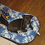 animal, boxer, bulldog, canine, chihuahua, couch, cushion, dog, dogbed, furniture, greatdane, homedecor, hound, labradorretriever, pet, pitbull, puppy