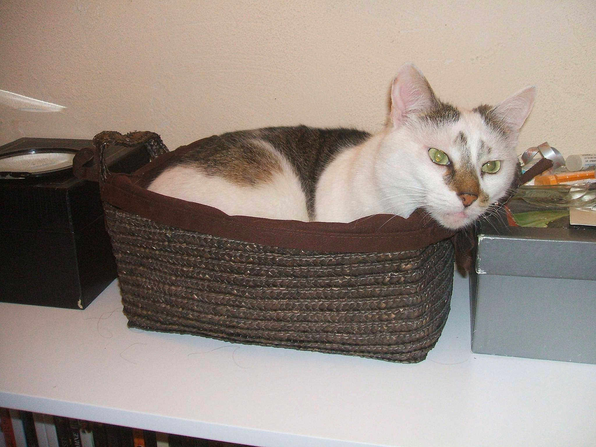 Betty