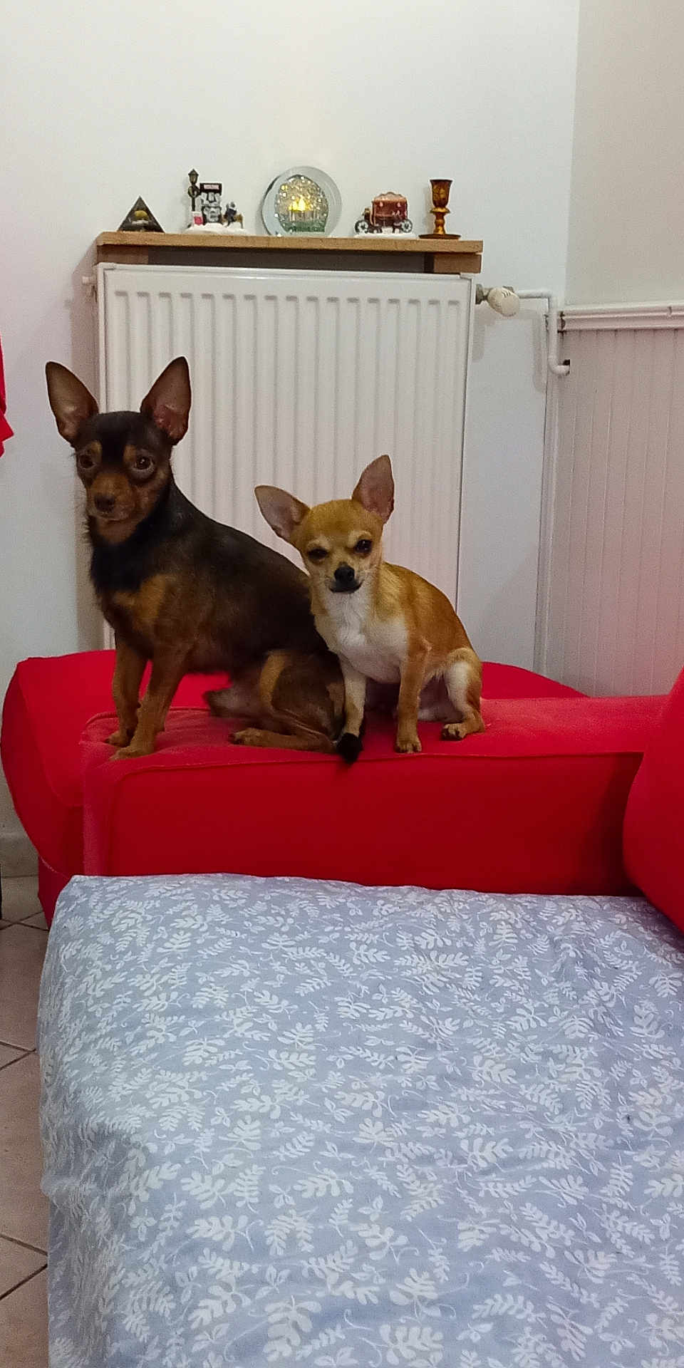 Texas Et Rio