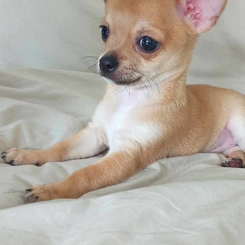 Rio