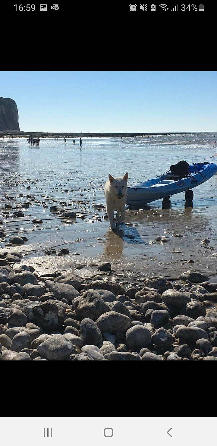 Blanca a rejoint le concours — aidez-le/la à gagner de superbes lots ! azure, bank, beach, blue, boat, boats_and_boating_equipment_and_supplies, body_of_water, coastal_and_oceanic_landforms, horizon, lake, morning, nature, sky, vehicle, vertebrate, water, water_resources, watercraft, waterway, wood