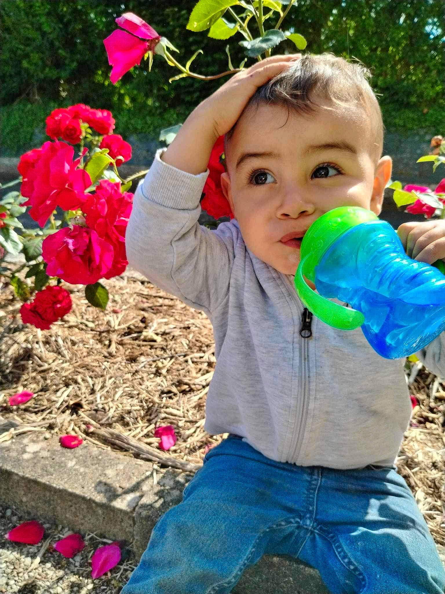 Noham participe au concours pour gagner de l'argent avec cette photo : annual_plant, carmine, flower, flowering_plant, grass, happy, jeans, leisure, magenta, people_in_nature, person, petal, pink, plant, rose, rose_family, rose_order, sitting, soil, toddler