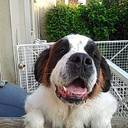 BUFFY participe au concours pour gagner de l'argent avec cette photo :