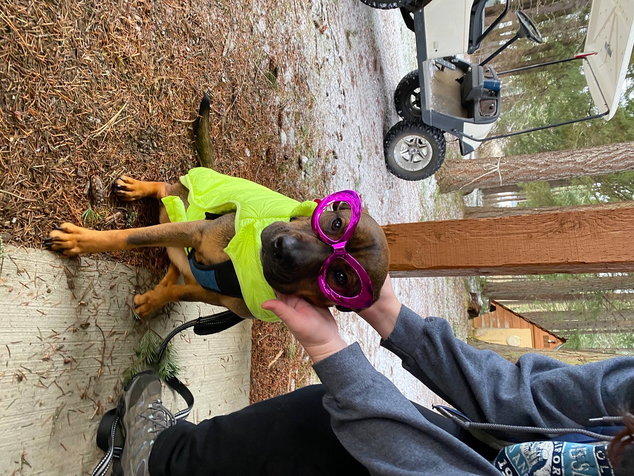 Wall E joined the competition — help win amazing prizes! adventure, automotive_tire, automotive_wheel_system, fun, green, hat, leisure, magenta, motor_vehicle, people, photograph, plant, recreation, sandal, soil, street, tire, tree, wheel, white