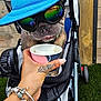 dog, blue_cap, sunglasses, stroller, hand, tattoo, bracelet, ice_cream, outdoor, grass, wooden_fence, pet, canine, reflection, summer, cool, casual, accessories, close_up, portrait