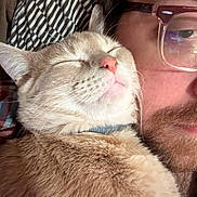Ozzy Pawsbourne is registered to the contest to win money with this photo: cat, person, glasses, close_up, face, fur, whiskers, relaxation, cozy, indoor, comfort, snuggling, beard, human, pet, animal, sleeping, nostril, pink_nose, eyewear