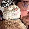cat, person, glasses, close_up, face, fur, whiskers, relaxation, cozy, indoor, comfort, snuggling, beard, human, pet, animal, sleeping, nostril, pink_nose, eyewear