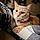 Ozzy Pawsbourne