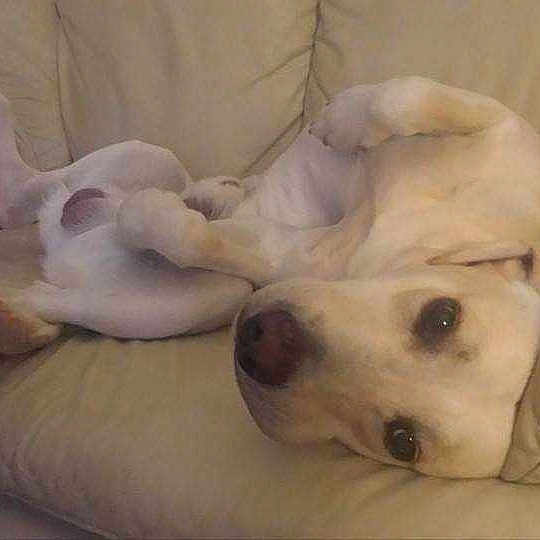 Boe Marley is registered to the contest to win money with this photo: