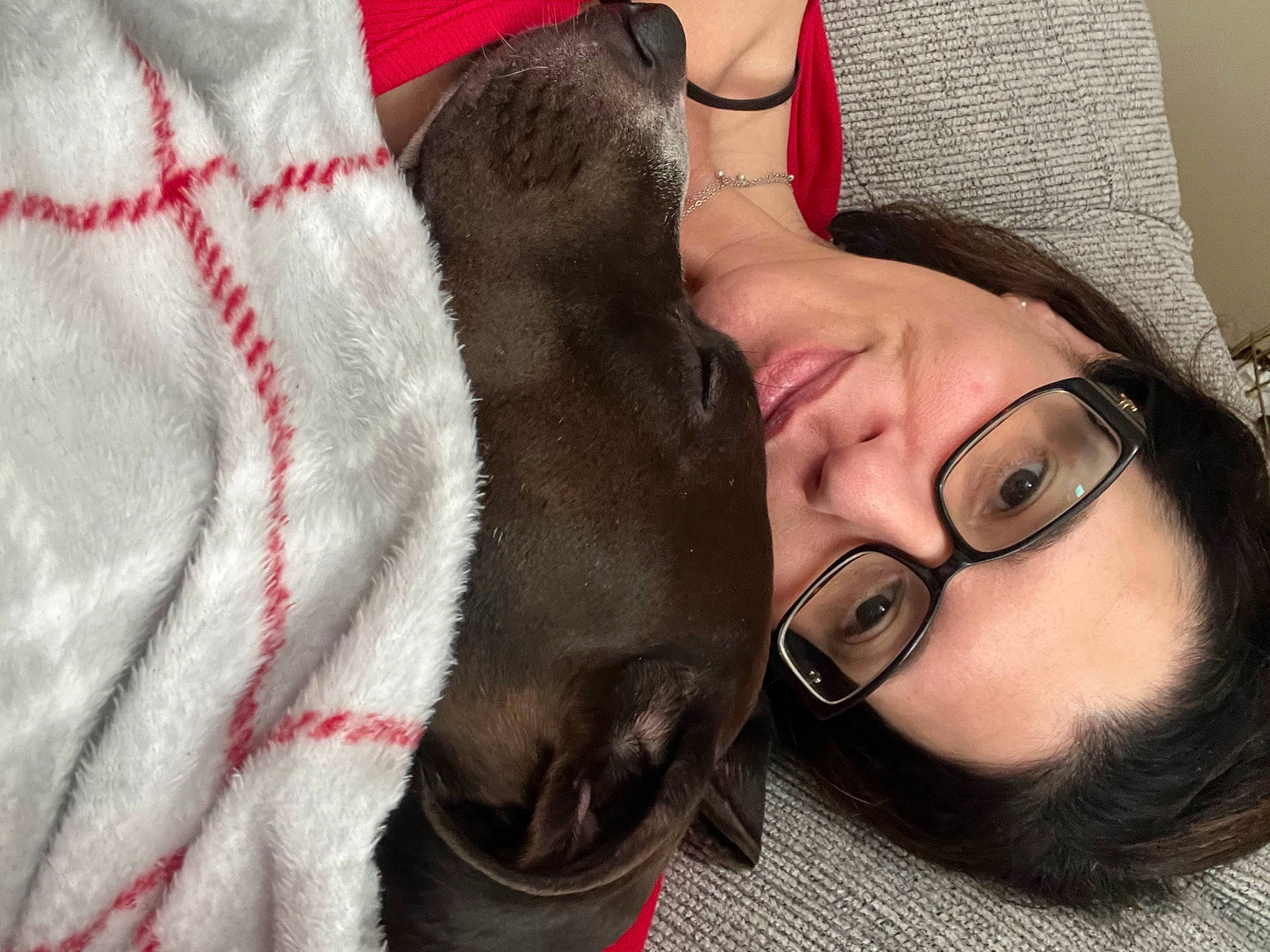 Clifford is registered to the contest to win money with this photo: beard, black_hair, carnivore, comfort, companion_dog, ear, eyelash, eyewear, fawn, felidae, gesture, happy, jaw, neck, nose, selfie, skin, snout, vision_care, whiskers