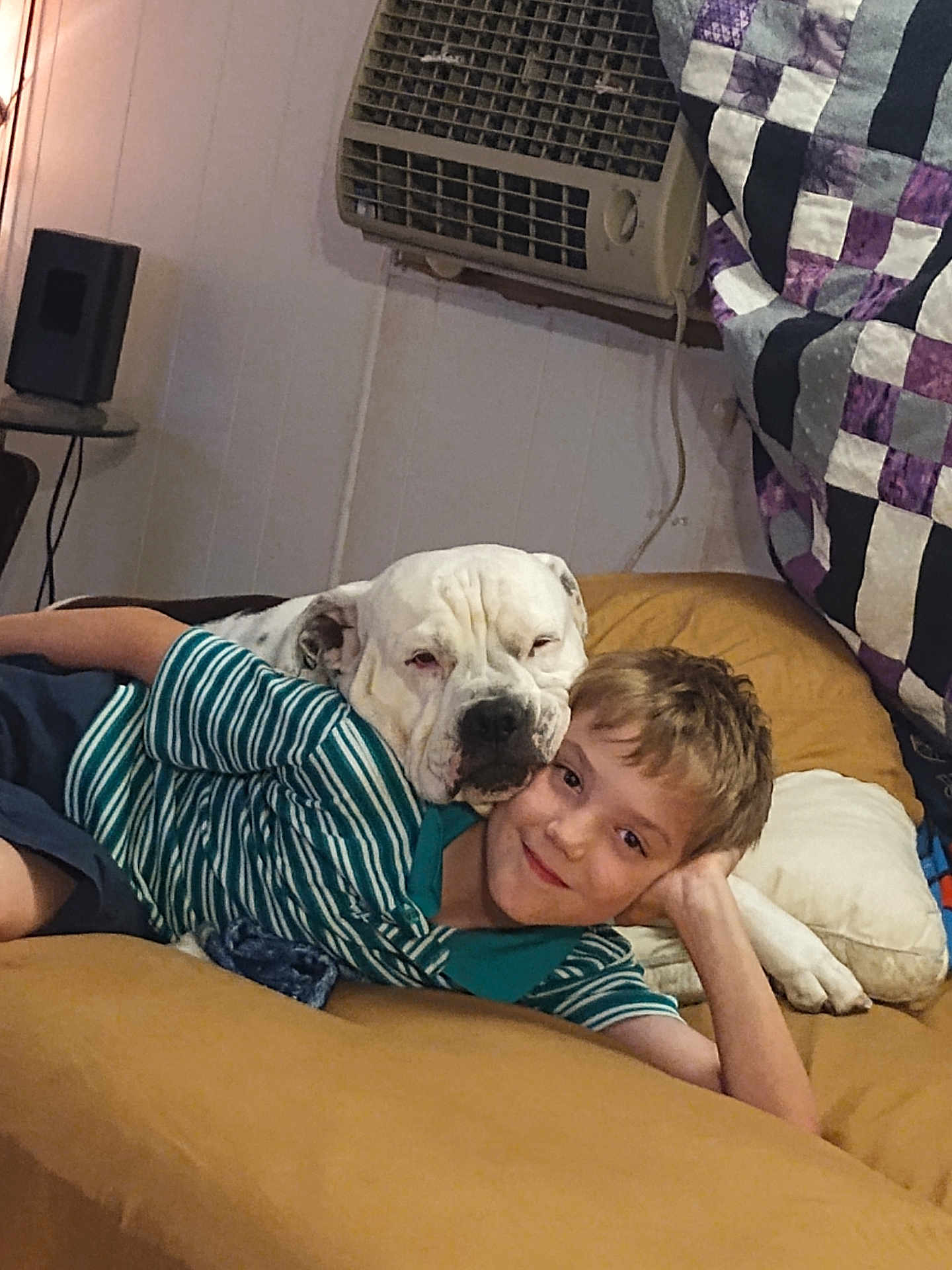 Lipton is registered to the contest to win money with this photo: boy, dog, couch, indoor, relaxing, affection, pet, child, striped_shirt, white_dog, smiling, quilt, home, furniture, comfort, friendship, casual, resting, human, animal
