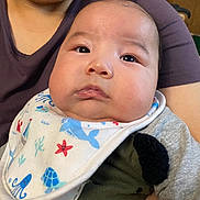 Connor is registered to the contest to win money with this photo: adult, baby, bib, blue_whale, chubby, closeup, clothing, curious, cute, face, holding, indoor, infant, octopus, person, purple_shirt, red_starfish, sea_creatures, skin, turtle