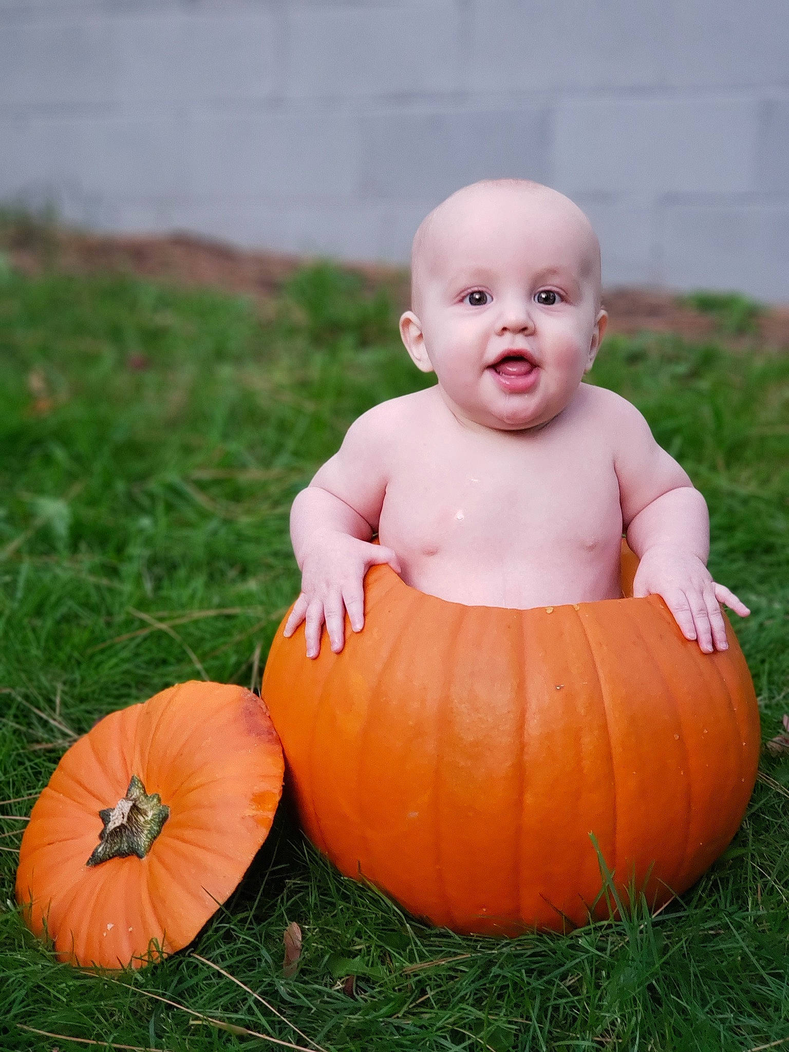 Aaden is registered to the contest to win money with this photo: _and_melon_family, _gourd, baby, calabaza, child, cucumber, cucurbita, face, food, fruit, gourd, grass, orange, person, plant, produce, pumpkin, smile, squash, toddler