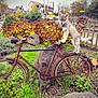 puppy, dog, bicycle, rusty, autumn, flowers, plants, garden, rocks, fence, village, grass, leaves, outdoor, animal, pet, blue_eyes, nature, old, playful
