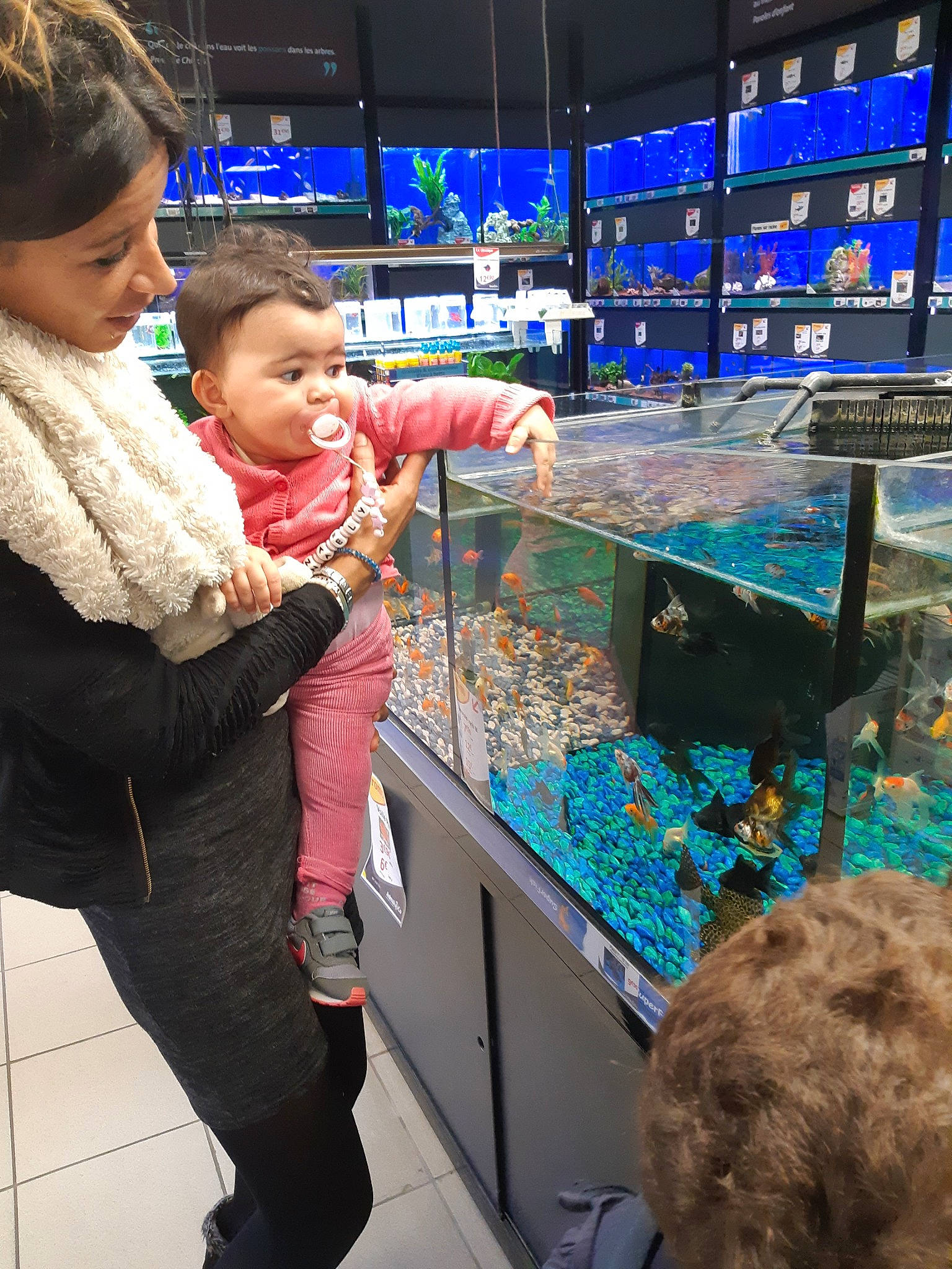 Naëly a rejoint le concours — aidez-le/la à gagner de superbes lots ! aquarium, child, organism, person, toddler