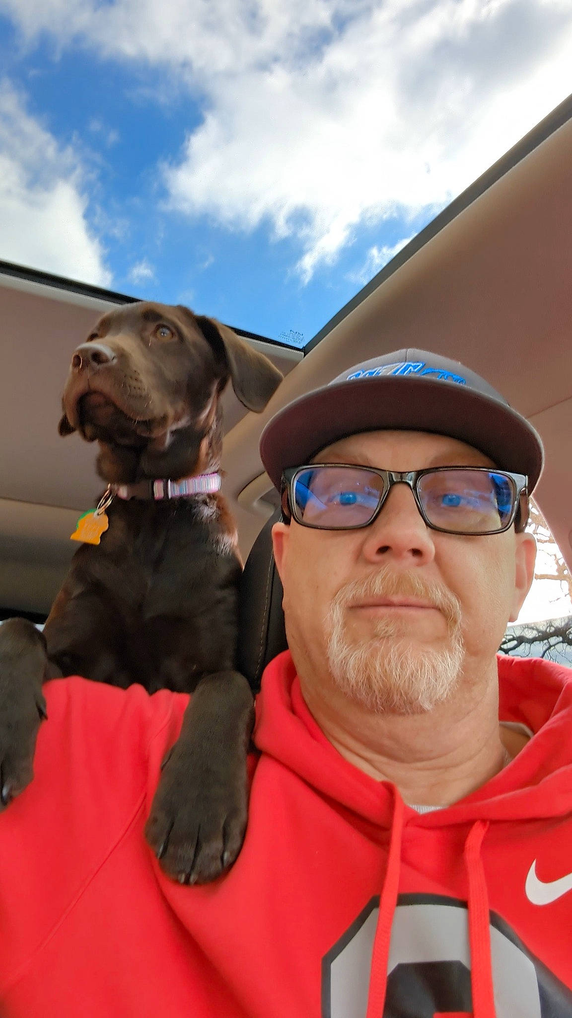 Brynn joined the competition — help win amazing prizes! baseball_cap, cap, carnivore, cloud, companion_dog, dog, dog_breed, dog_collar, eyewear, fawn, glasses, hat, liver, personal_protective_equipment, selfie, sky, travel, vision_care, working_animal, wrinkle