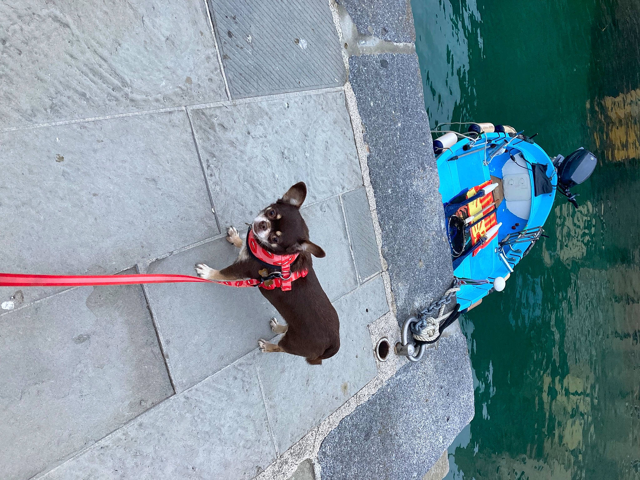 Masha a rejoint le concours — aidez-le/la à gagner de superbes lots ! adventure, asphalt, boat, boats_and_boating_equipment_and_supplies, climbing_harness, concrete, electric_blue, extreme_sport, fun, leash, leisure, recreation, road_surface, rock_climbing_equipment, rope, rope_rhythmic_gymnastics, shadow, sports, water, wind_wave