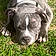 Ares