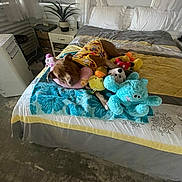 Rusty joined the competition — help win amazing prizes! dog, bed, plush_toys, stuffed_animals, blanket, pillow, plant, nightstand, indoor, pet, brown_dog, colorful_clothing, resting, comfortable, animal, soft_toys, home, relaxing, room, window