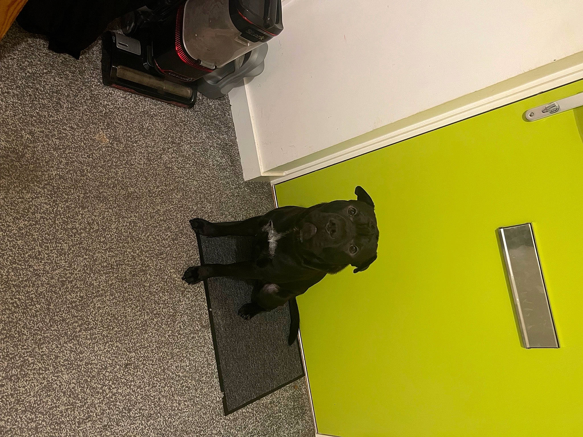 Diesel joined the competition — help win amazing prizes! art, bumper, floor, flooring, hardwood, machine, room, sculpture, shadow, wood