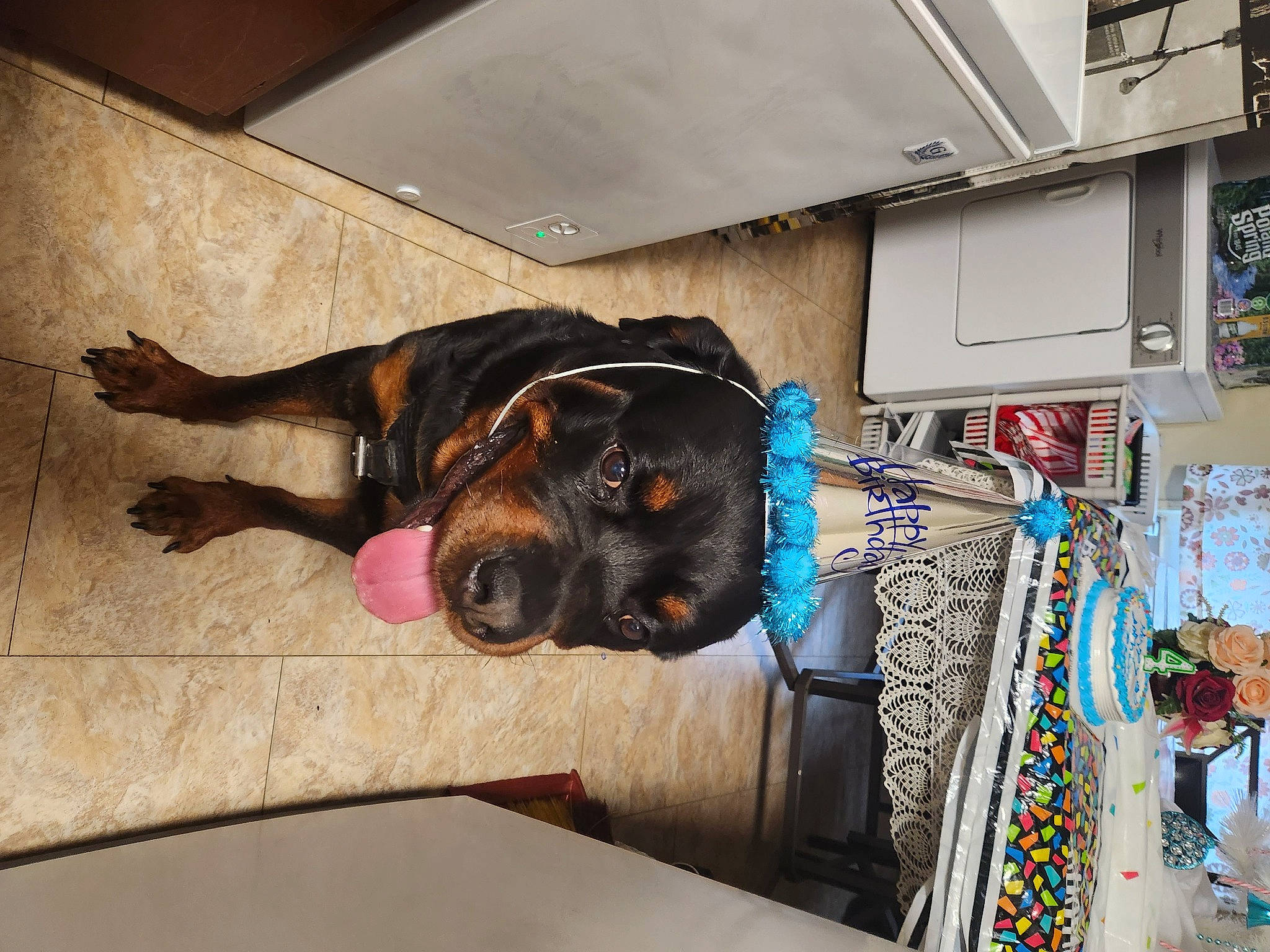 Ceaser Lewis is registered to the contest to win money with this photo: art, canidae, carnivore, companion_dog, dog, dog_breed, door, eyewear, fawn, flooring, fur, guard_dog, hardwood, room, snout, sporting_group, sunglasses, visual_arts, wood, working_animal