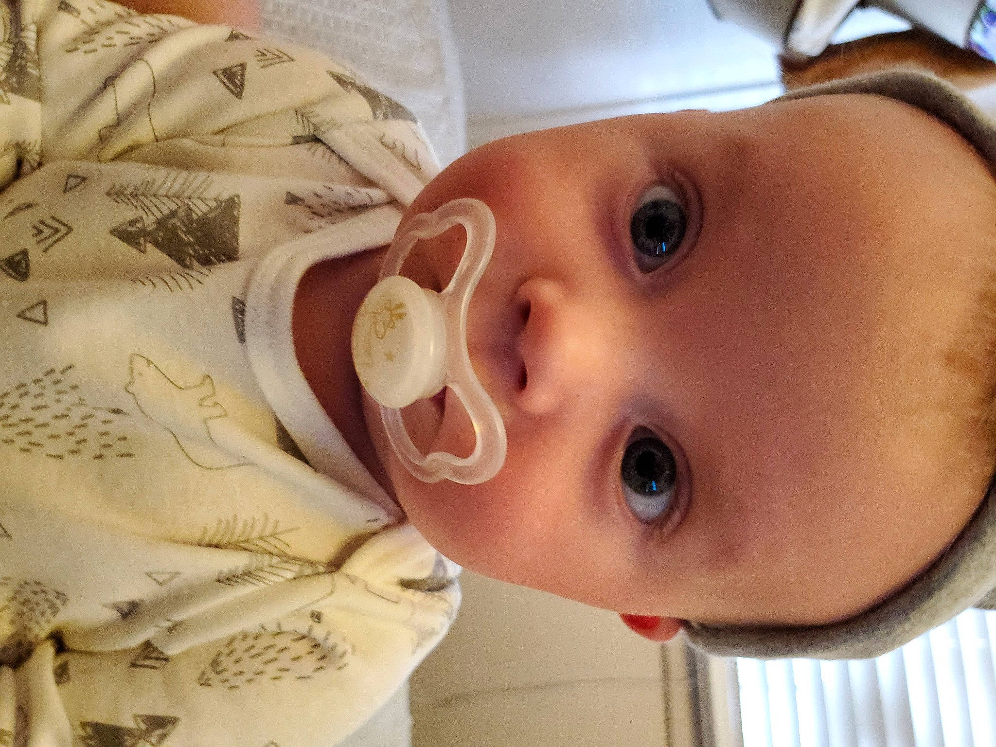 Nathan Jr is registered to the contest to win money with this photo: baby, cheek, child, chin, ear, eye, face, head, lip, mouth, nose, person, skin, toddler