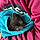 Bulle