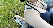 Silo joined the competition — help win amazing prizes! animal, casual, cat, choker_necklace, field, grass, greenery, harness, leash, nature, outdoor, pet, relaxed, selfie, shoulder, siamese_cat, sitting, smile, tank_top, woman