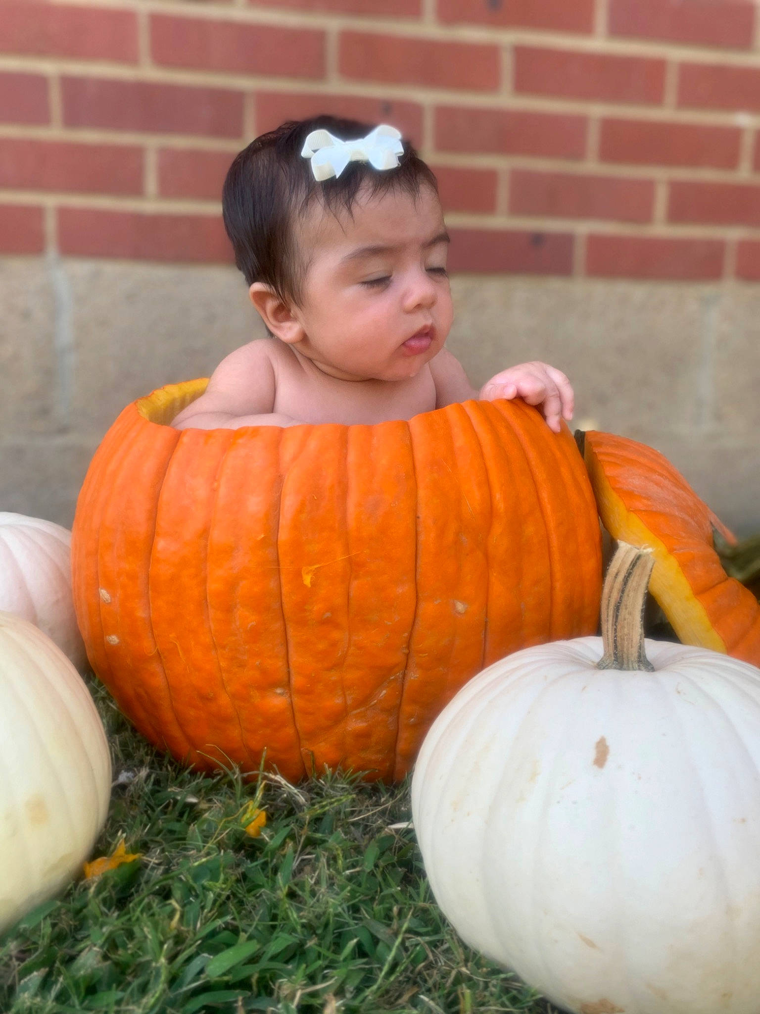 Sacha is registered to the contest to win money with this photo: calabaza, cucurbita, food, fruit, gourd, grass, leaf, local_food, natural_foods, orange, person, plant, produce, pumpkin, squash, superfood, toddler, vegetable, whole_food, winter_squash