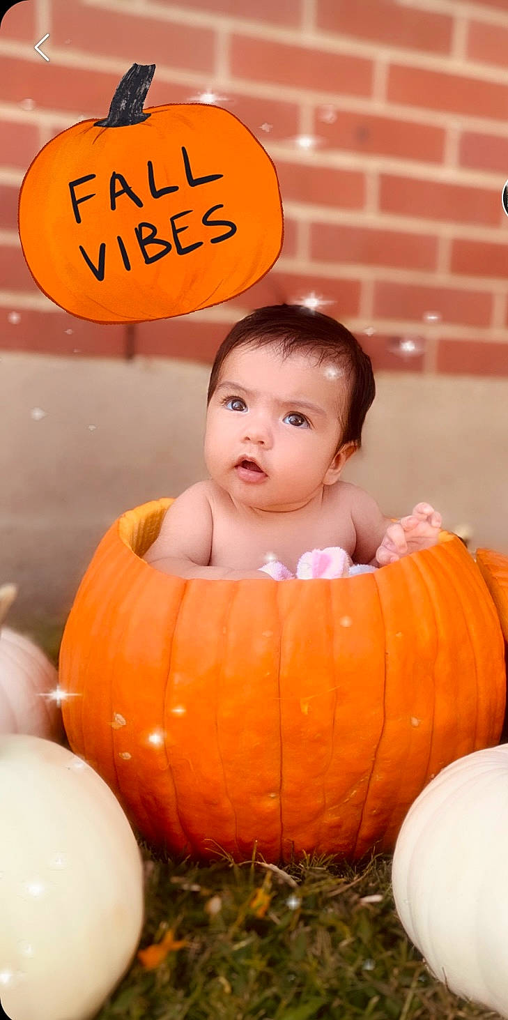 Sacha is registered to the contest to win money with this photo: baby, calabaza, child, grass, happy, head, human_body, local_food, natural_foods, orange, organ, people, person, plant, pumpkin, smile, squash, toddler, vegetable, whole_food