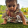 Sofia a rejoint le concours — aidez-le/la à gagner de superbes lots ! baby, child, crawling, grass, outdoor, floral_dress, curious, face, portrait, nature, greenery, sunlight, person, young, skin, eyes, hands, summer, daylight, cute