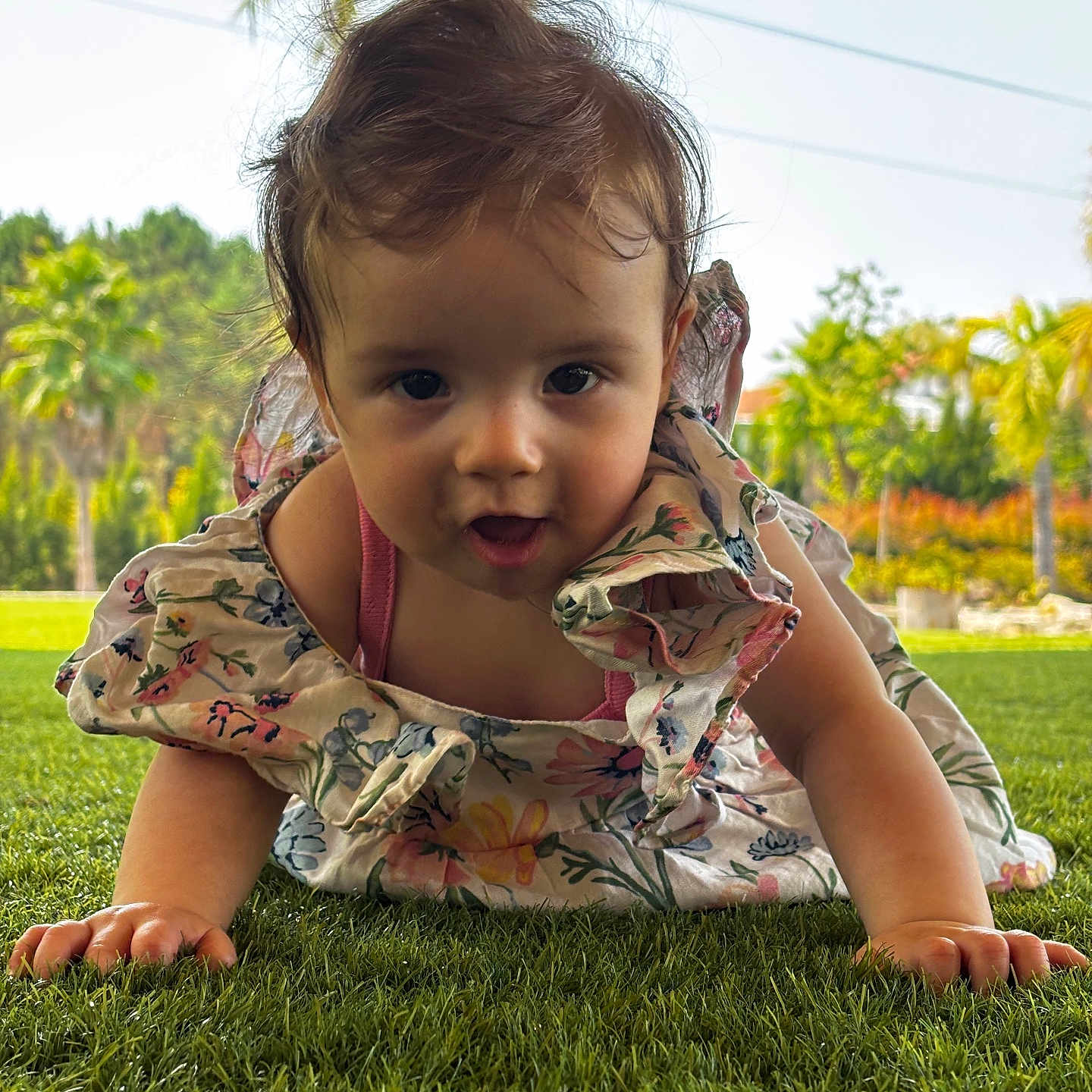 Sofia a rejoint le concours — aidez-le/la à gagner de superbes lots ! baby, child, crawling, curious, cute, daylight, expression, face, floral_dress, garden, grass, greenery, hands, nature, outdoor, palm_trees, portrait, summer, sunny, toddler